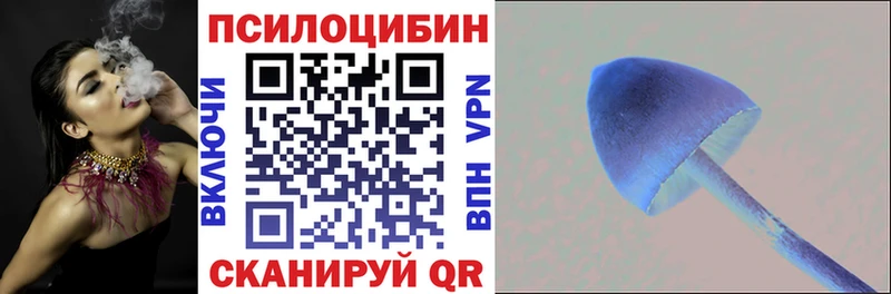 что такое   Лебедянь  мега маркетплейс  Псилоцибиновые грибы Psilocybine cubensis 